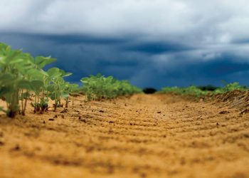 Lewe in die grond bevorder volhoubare produksie