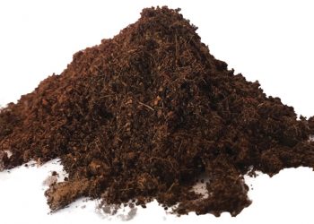 Lewe in die grond bevorder volhoubare produksie