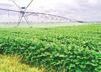 By sojabone is waterverbruik die sleutel tot sukses