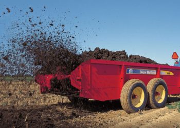 Mis kan goud werd wees