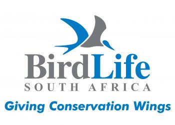 Voëlnuus uit ons kontrei