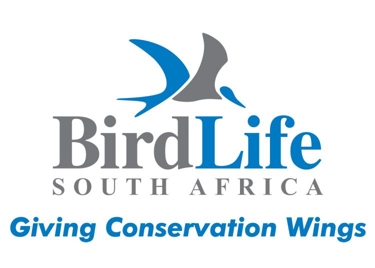 Voëlnuus uit ons kontrei