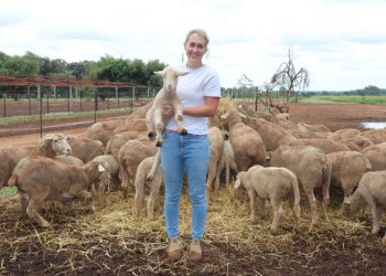 Jong dame verruil stadsliggies vir die skaapkraal