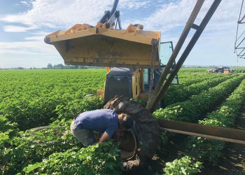 Boer in die vreemde maak jou oë oop