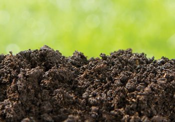 Bewaring van natuurlike hulpbronne is noodsaaklik