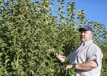 Boere maak planne tydens pandemie
