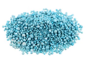 Styging in insetkoste onder die loep geneem