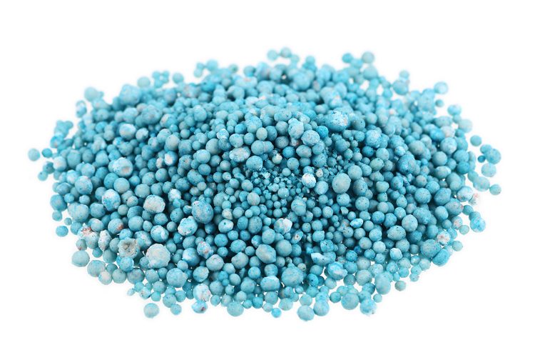 Styging in insetkoste onder die loep geneem