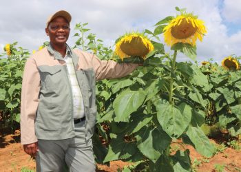 When land reform works