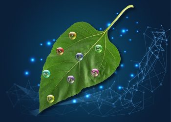 Stap die pad saam met ‘n getroue landbouvennoot