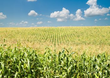 April 2021: Agricultural economic report