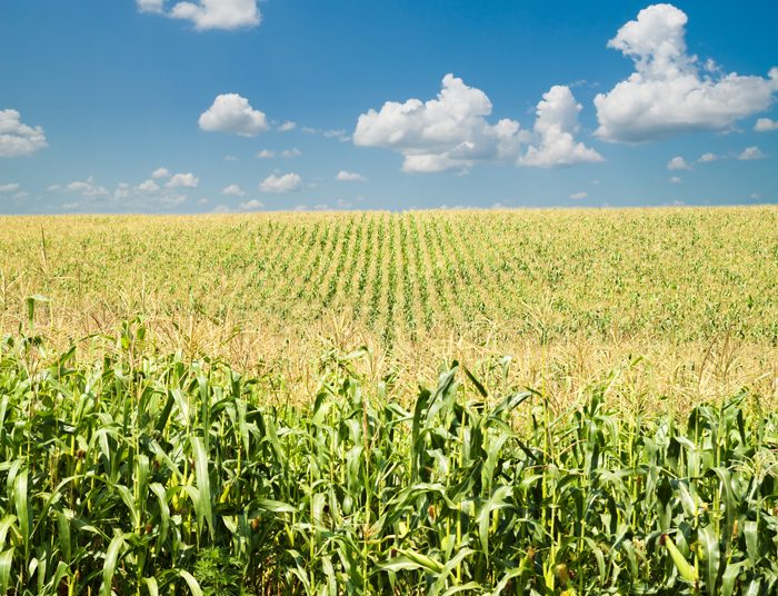 April 2021: Agricultural economic report