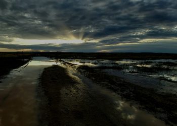 Onverwagse reën behoort nie oes te kniehalter