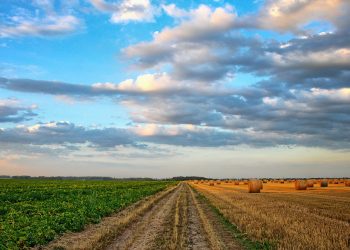Gevaarlike wending in debat oor wysiging van artikel 25
