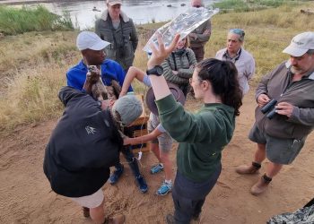 Voëlnuus uit ons kontrei