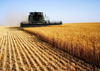 June 2021: Agricultural economic report