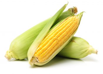 Consider different options for surplus maize stock