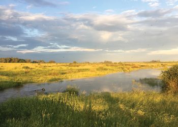 Keep our water resources clean