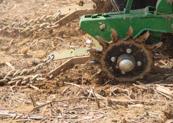 Planteronderhoud is noodsaaklik voor planttyd