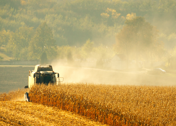 November 2021: Agricultural economic report