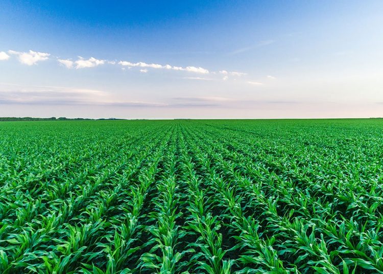 February 2022: Agricultural economic report