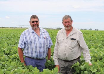 Twee koppe is gewis beter as een