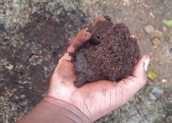 Have compost ready quickly