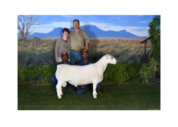 ‘n Winkelbestuurder wat sy skape ken