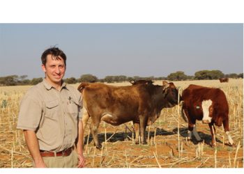 Nuwe direksielid is gretig om te leer