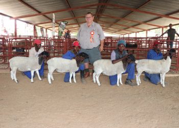 Wenner van NWK Retail Slaglamskou wen met eerste probeerslag