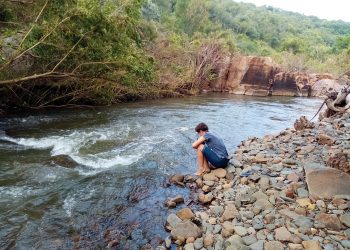 North West biosphere reserve is thriving