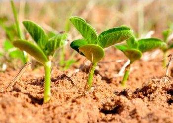 February 2023: Agricultural economic report