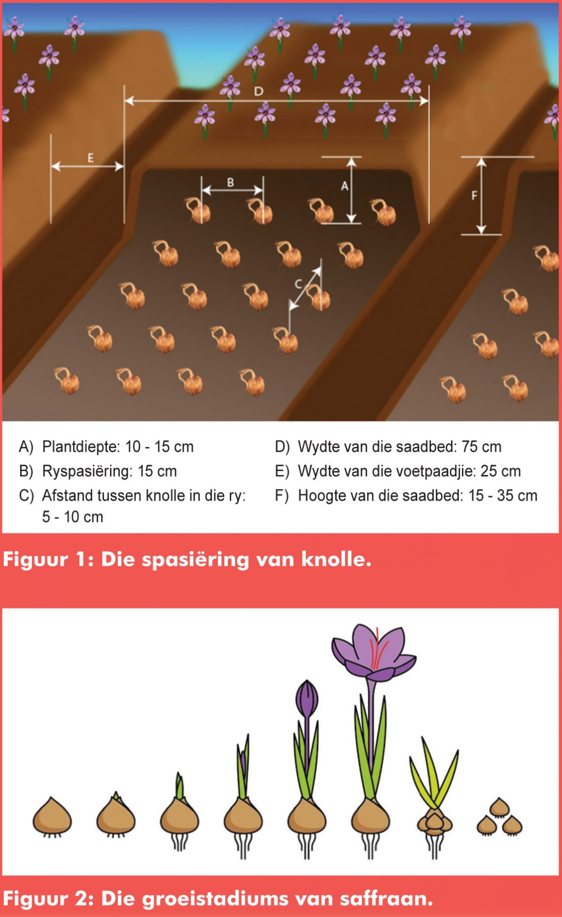 Diversifiseer met die duurste speserye - NWK Arena