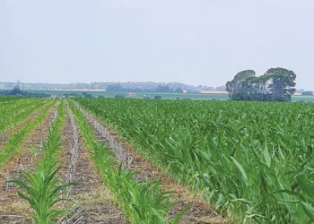 Vul jou oes aan met topbemesting