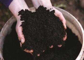 Vernuwing wink op die gebied van kompos