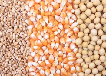 July 2023: Agricultural economic report