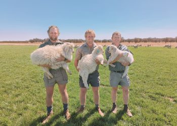 Angoras aard goed in die “wilde weste”