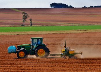 November 2023: Agricultural economic report