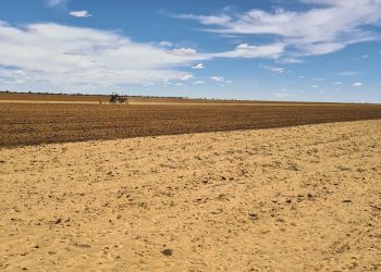 Pas bewerking aan tydens El Niño