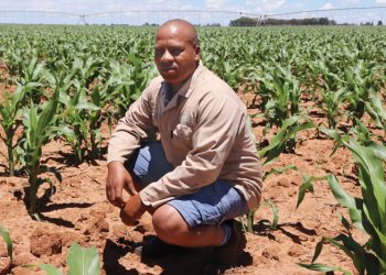 Lichtenburg grain farmer wins prestigious award