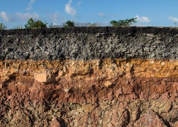 What happens below the soil, affects your crops