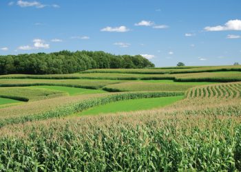 Ontsluit landboukontoere se potensiaal