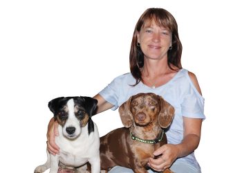 Aanval dwing hulle nie van die plaas af nie