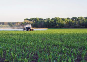 Beter bemesting = ’n hoër opbrengs