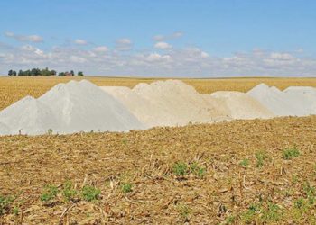 Bekalking lei tot beter groei