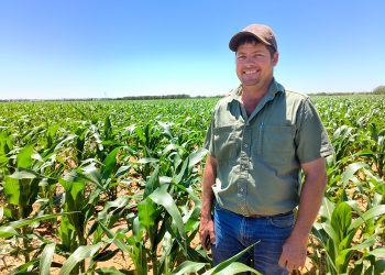 Herlewingslandbou  help die wa deur ’n droë drif trek