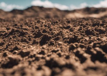 ‘n Blik op grondsuurheid in die NWK-gebied