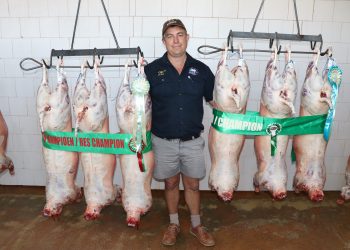 Minder lammers presteer steeds goed by NWK Retail se Slaglamskou