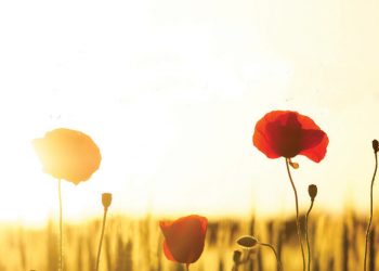 Dankbaarheid is ’n doelbewuste keuse