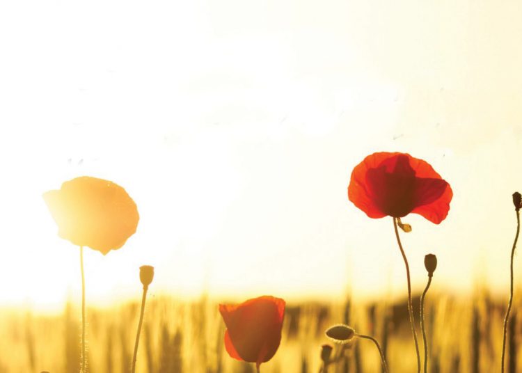 Dankbaarheid is ’n doelbewuste keuse